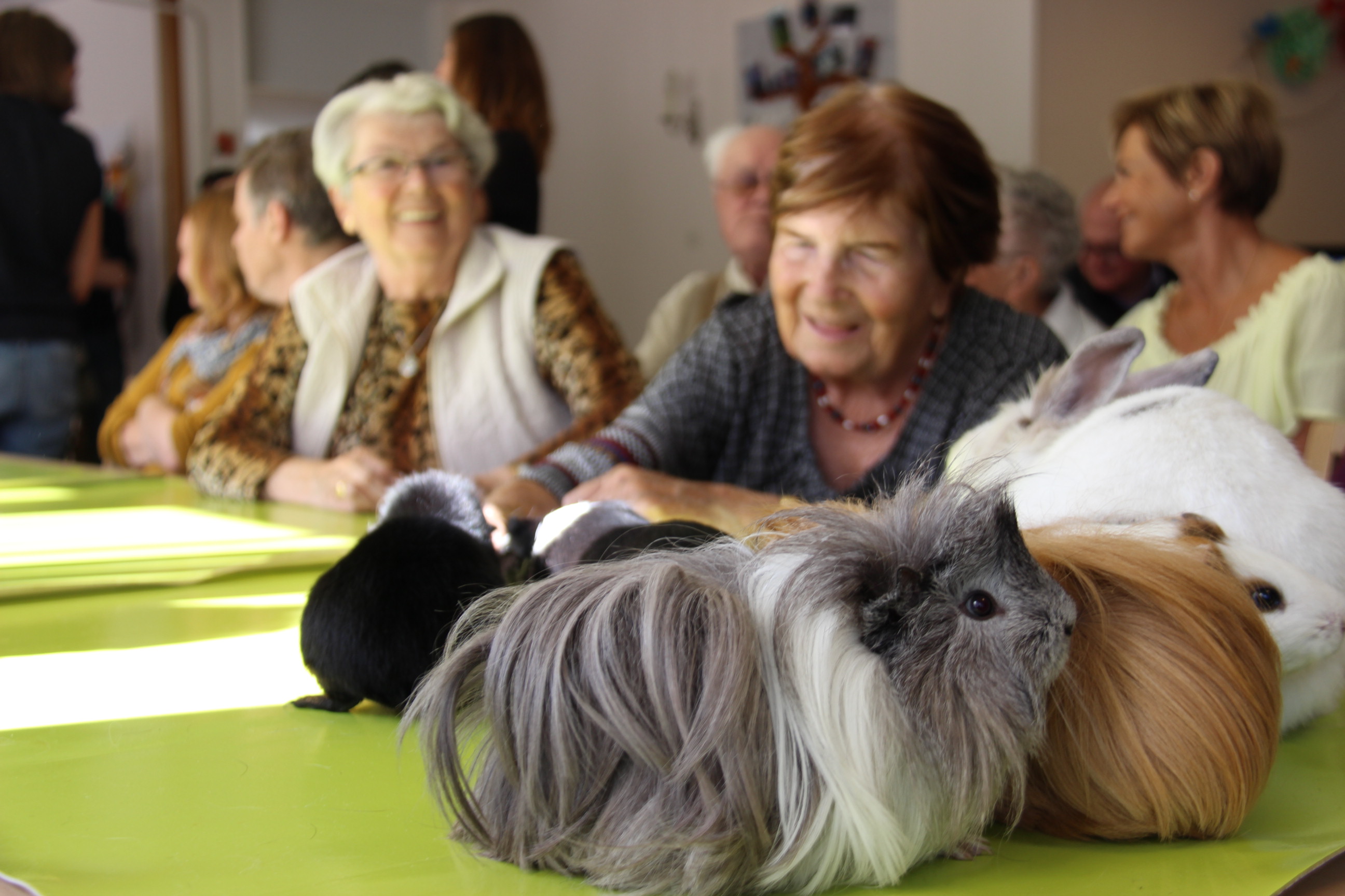 L&rsquo;Accueil de Jour Thur Doller a ouvert ses portes au public