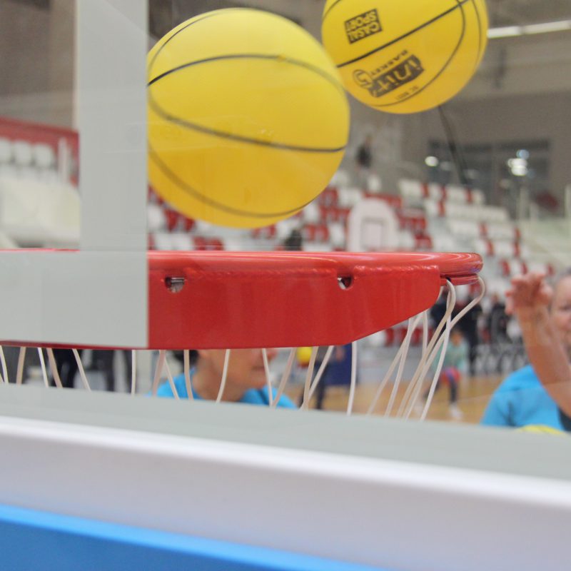 Accueil de Jour Maison Steinel Basket Santé