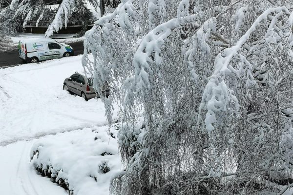 bassin potassique bassin potassique